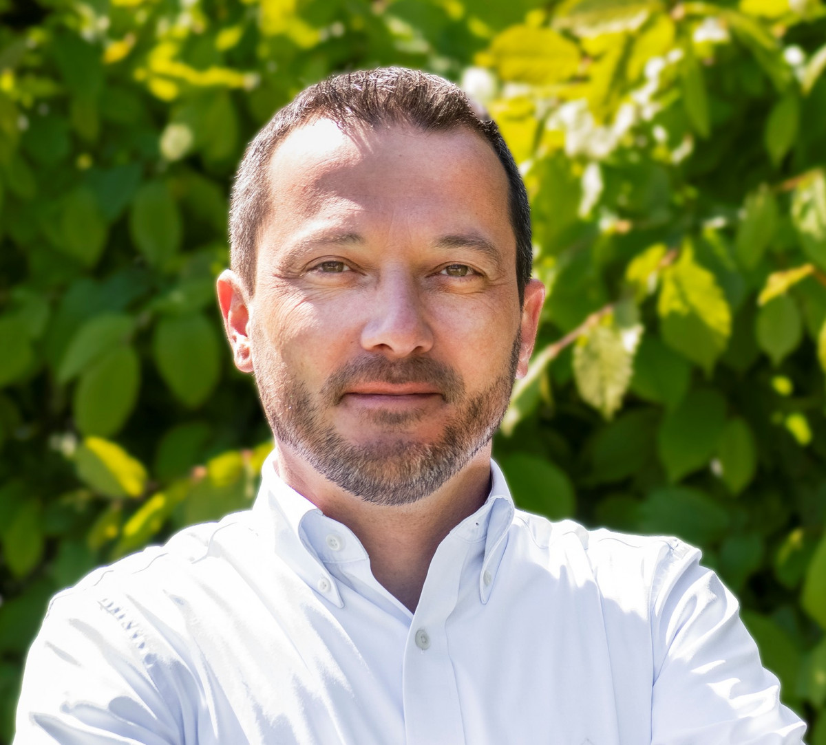 Olivier Vergeynst